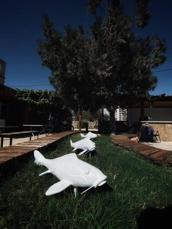 Camp&Hostel Antalya Luaran gambar